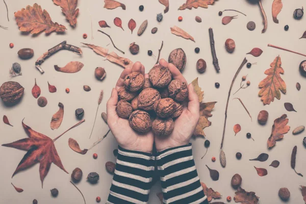 Handful of whole walnut fruit from above — Stock Photo, Image