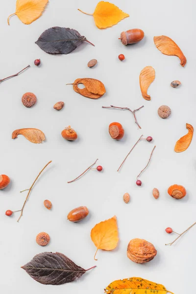 Fall season flat lay decoration background — Stock Photo, Image