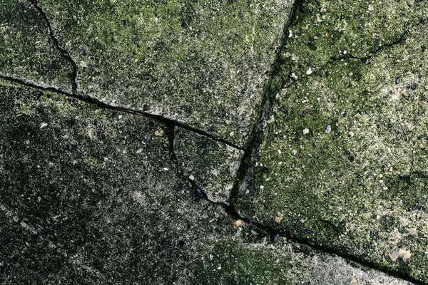 Risse am Betonboden mit grünem Moos bedeckt — Stockfoto
