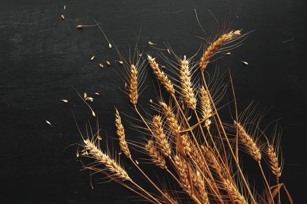 Uszy pszenicy i ziarna, widok z góry płaskie układanie — Zdjęcie stockowe
