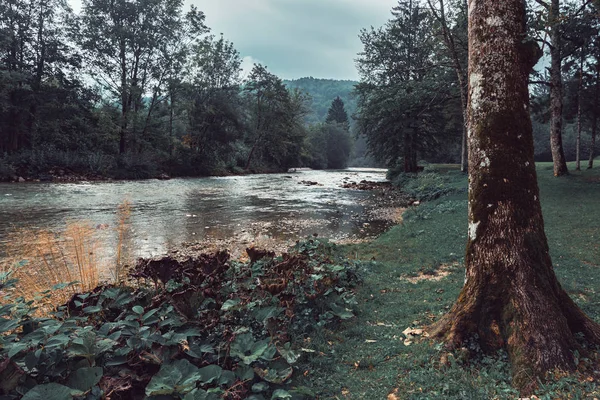 River Jezernica, Slovenya 'nın en kısa ikinci nehri. — Stok fotoğraf