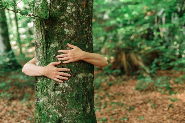 Environmentalist δέντρο αγκαλιάζει κορμό ξύλου στο δάσος — Φωτογραφία Αρχείου