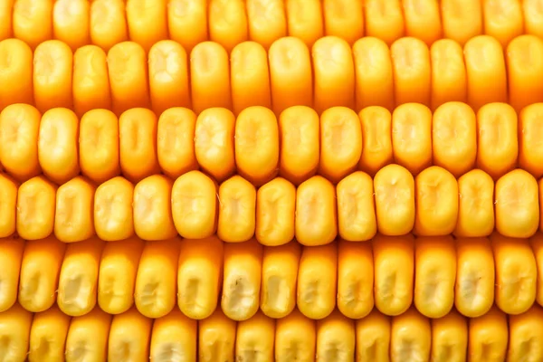 Rijp gele korrels op maïs op de kolf, macrophotografie — Stockfoto