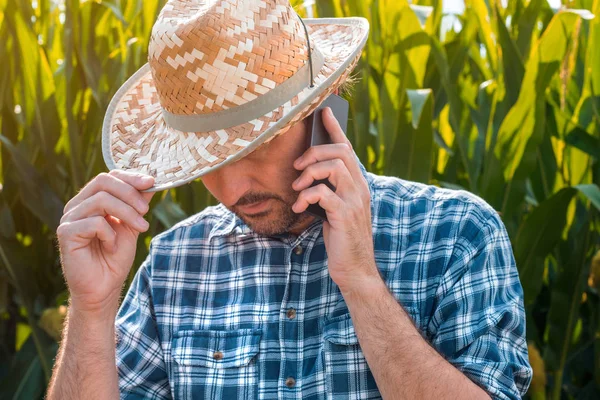 Kukurydza rolnik rozmawia na telefon komórkowy w dziedzinie upraw — Zdjęcie stockowe