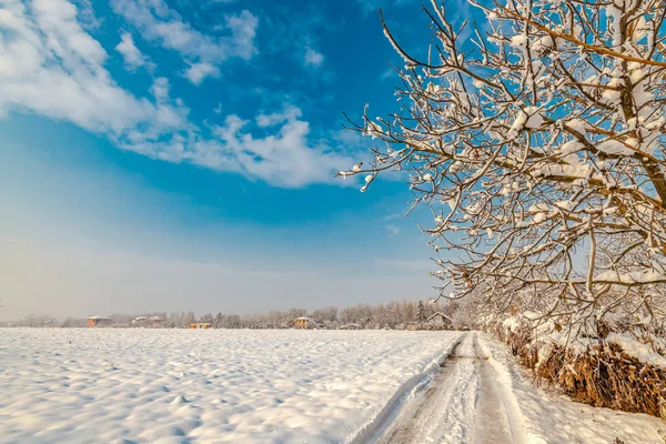 Paesaggio idilliaco di campagna invernale — Foto Stock