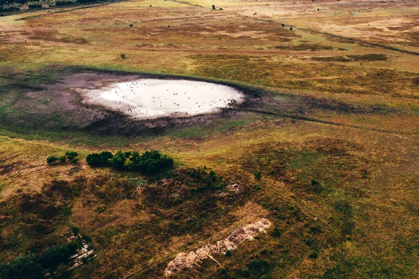 Vista aérea del estanque en el paisaje del prado rural — Foto de Stock