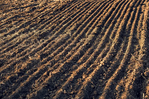 Plowed field as background — Stock Photo, Image