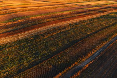 Renkli kırsal alan tarımı arka planı, ekilmiş tarım