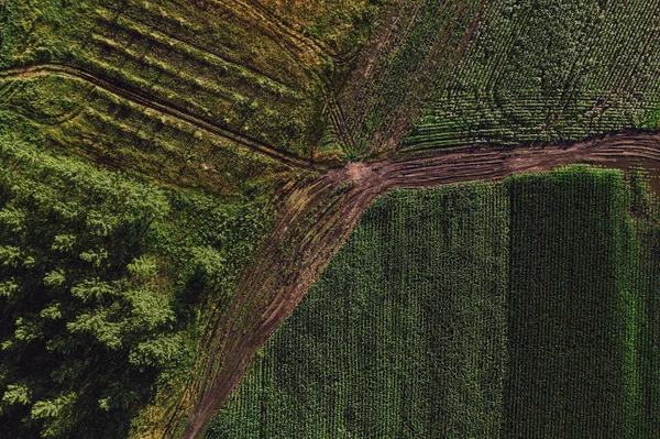 Aerial view of dirt road in countryside — Stock Photo, Image