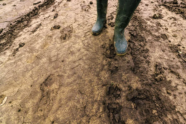 Dirty farmer's rubber boots on muddy country road — Stock Photo, Image