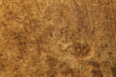 Çayırların havadan görünüşü