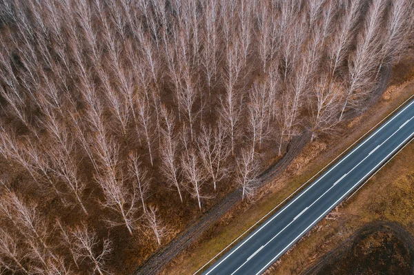 Fotografia aérea de estrada e floresta vazias — Fotografia de Stock
