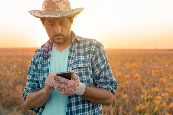 Soybean farmer text messaging on mobile phone from field — Stock Photo, Image