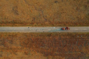 Eski traktör asfalt yolda çimenli kırsal bal likörü boyunca