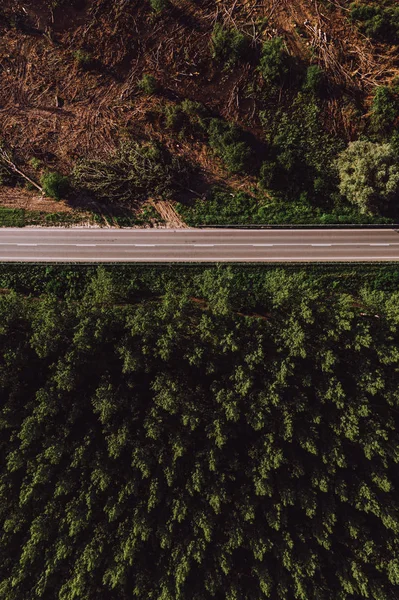 Vista aérea del camino vacío a través del bosque de algodoncillo en verano —  Fotos de Stock