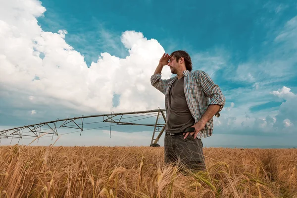 Agricultor preocupado en el campo de cebada en un día ventoso —  Fotos de Stock