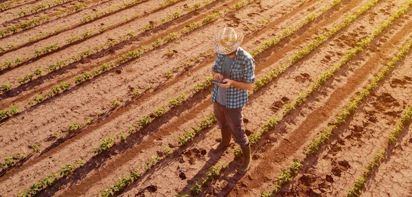 Фермер з дистанційним контролером дронів у соєвому полі, аерофотозйомка — стокове фото