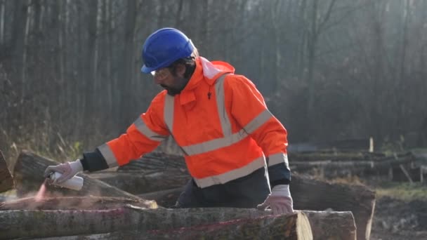 Skogstekniker Märkning Stockar För Ved Med Röd Aerosol Kan Måla — Stockvideo