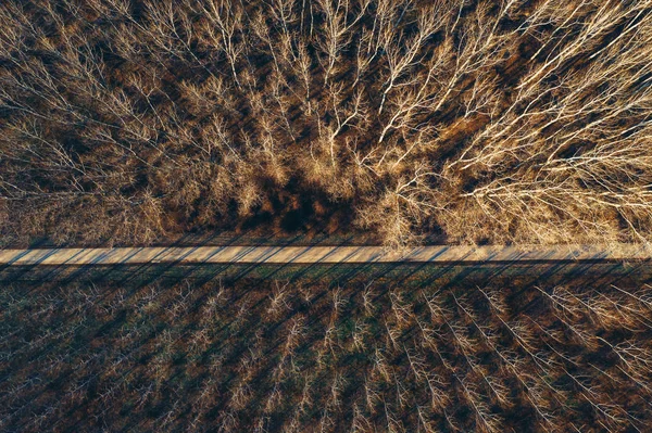 Вид з повітря на порожню дорогу через ліс — стокове фото