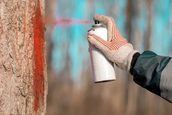 Τεχνικός δασοκομίας σήμανση κορμού δέντρου για κοπή σε deforestat — Φωτογραφία Αρχείου