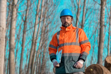 Ormandaki ağaç kesme işlemi sırasında ormancılık teknisyeni portresi