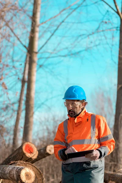 Técnico forestal usando tableta digital en bosque — Foto de Stock