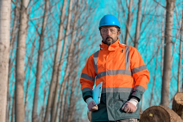 Retrato técnico forestal durante el proceso de tala en el bosque — Foto de Stock