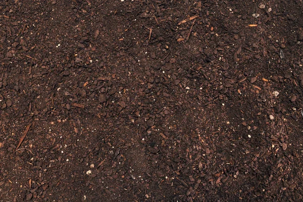 Fertile gardening soil top view — Stock Photo, Image