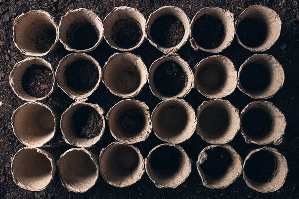 Biodegradable peat pot on greenhouse compost humus soil — Stock Photo, Image
