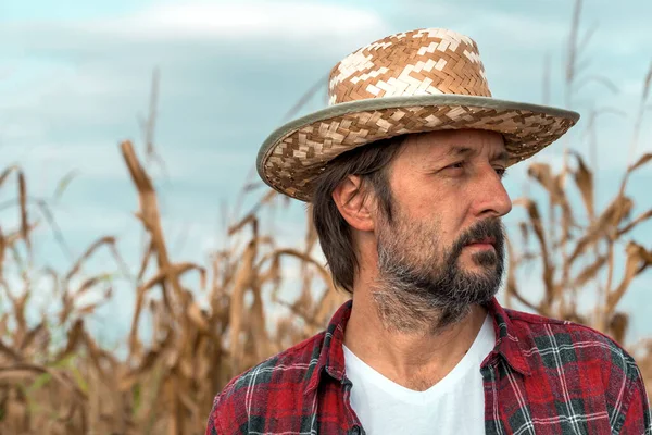 Olgunlaşmış mısır tarlasında mısır çiftçisinin portresi — Stok fotoğraf