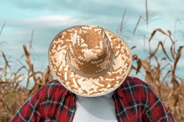 Disappointed corn farmer with his head down in cornfield