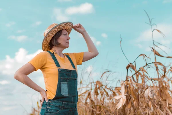 Female corn farmer looking over cornfield