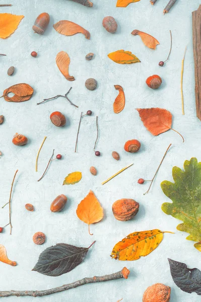 Herbstliche Dekoration flach liegend Draufsicht — Stockfoto