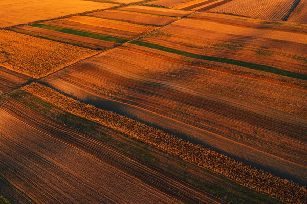 Kleurrijke landschap lappendeken achtergrond, gecultiveerde landbouw — Stockfoto