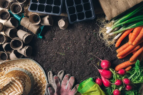 Organik homegrown memproduksi dan peralatan berkebun dengan salinan spac — Stok Foto