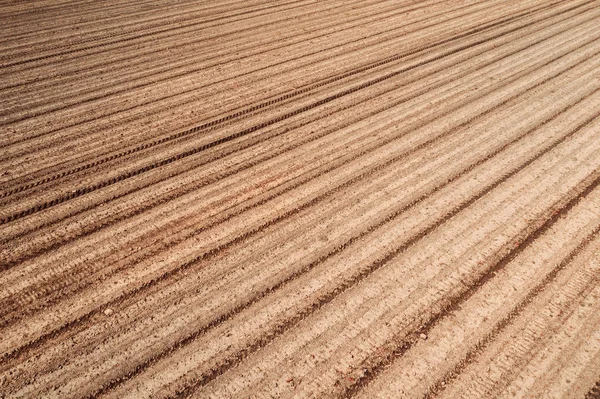 Plowed field land — Stock Photo, Image