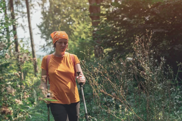 Женщина Турист Треккинг Палки Ходить Лесной Пешеходной Дорожке Одиночку Летний — стоковое фото