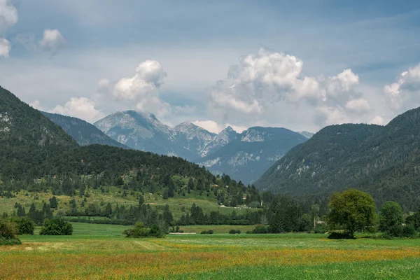 Bellissimo Paesaggio Delle Alpi Giulie Estate Prato Verde Sotto Montagne — Foto Stock