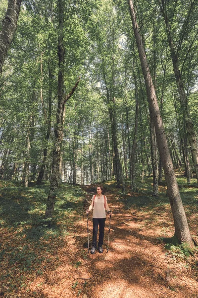 Dişi Yürüyüşçü Güneşli Bir Yaz Gününde Ormanda Yürüyüş Yapıyor — Stok fotoğraf