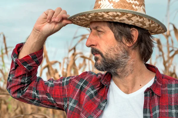 Portrait of corn farmer in ripe maize crop field wearing straw hat and red plaid shirt