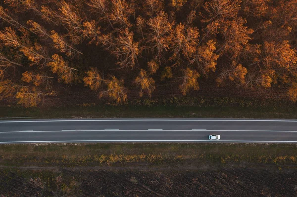 道路上のトラフィックは 秋のアスペンの木の森を介して ドローンのPovからの空中写真をトップビュー — ストック写真