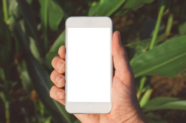 Tarım smartphone app alay ekranı tarım, çiftçi ziraat mühendisi olarak modern akıllı tarım agritech uygulama için kopya alanı boş ekran ile cep telefonu tutan Mısır