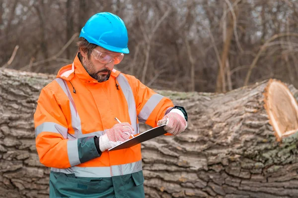 Técnico Forestal Recogiendo Notas Datos Bosque Durante Proceso Tala —  Fotos de Stock