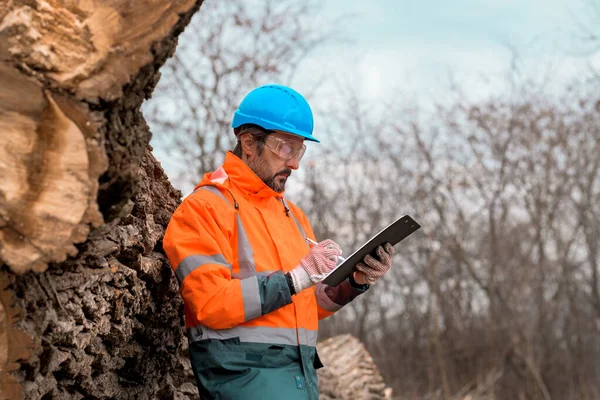 Bosbouwtechnicus Schrijft Notities Kladpapier Het Bos Tijdens Het Ontbossingsproces — Stockfoto