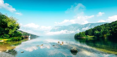 Slovenya'daki Bohinj Gölü, Alp dağ sıradağlarındaki Triglav milli parkında ünlü seyahat beldesinin güzel manzaralı yaz manzarası