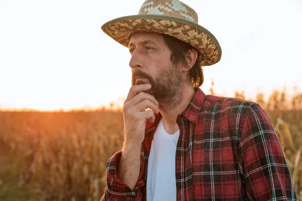 Besorgter Mais Landwirt Posiert Auf Maisfeld Und Sorgt Sich Den — Stockfoto