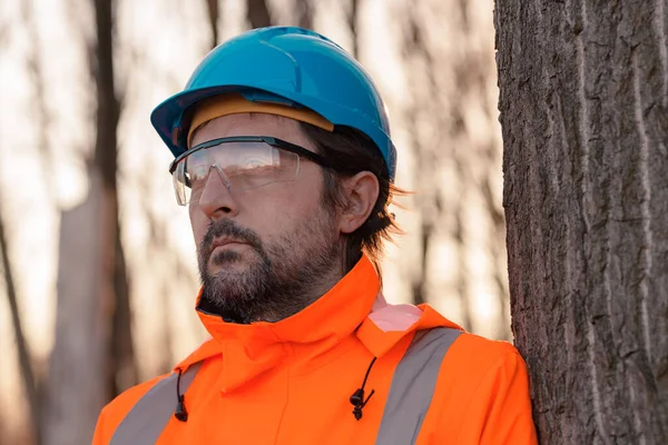 Erdészeti Technikus Aspen Erdőirtás Tervezésében Portré Faiskola Szakemberéről — Stock Fotó