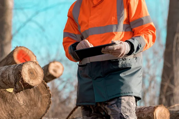 林业技术员在森林中使用数字平板电脑记录毁林过程中的数据 — 图库照片