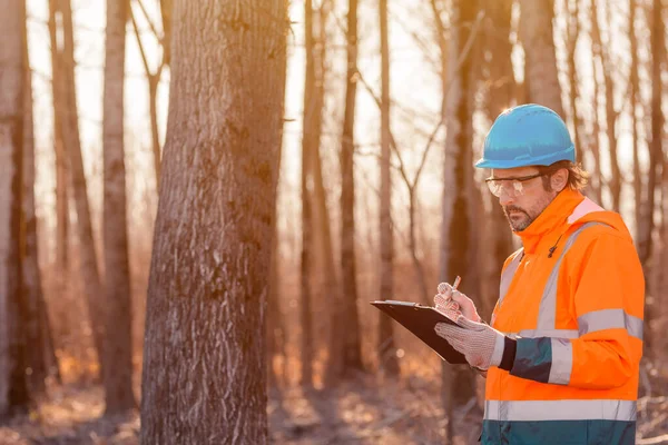 Forsttechniker Schreibt Während Des Abholzungsprozesses Notizen Auf Klemmbrettpapier Wald — Stockfoto