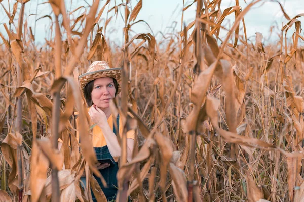 Žena Kukuřice Farmář Pomocí Digitálního Tabletu Kukuřičném Poli Chytrý Farmářský — Stock fotografie